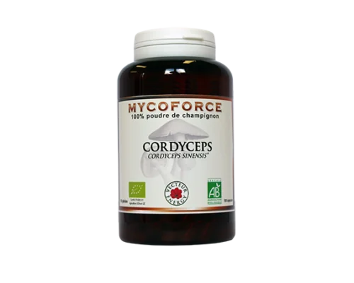 Flacon Mycoforce Cordyceps